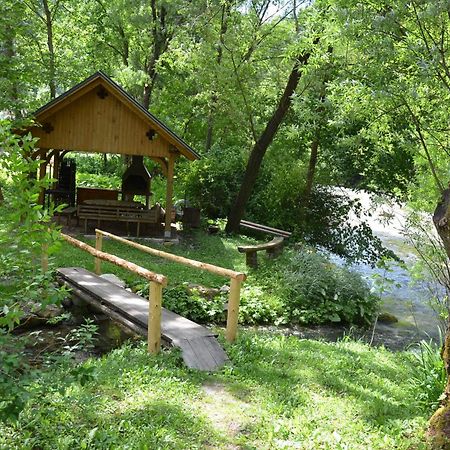 斯蒂夫达农家乐 Solčava 外观 照片